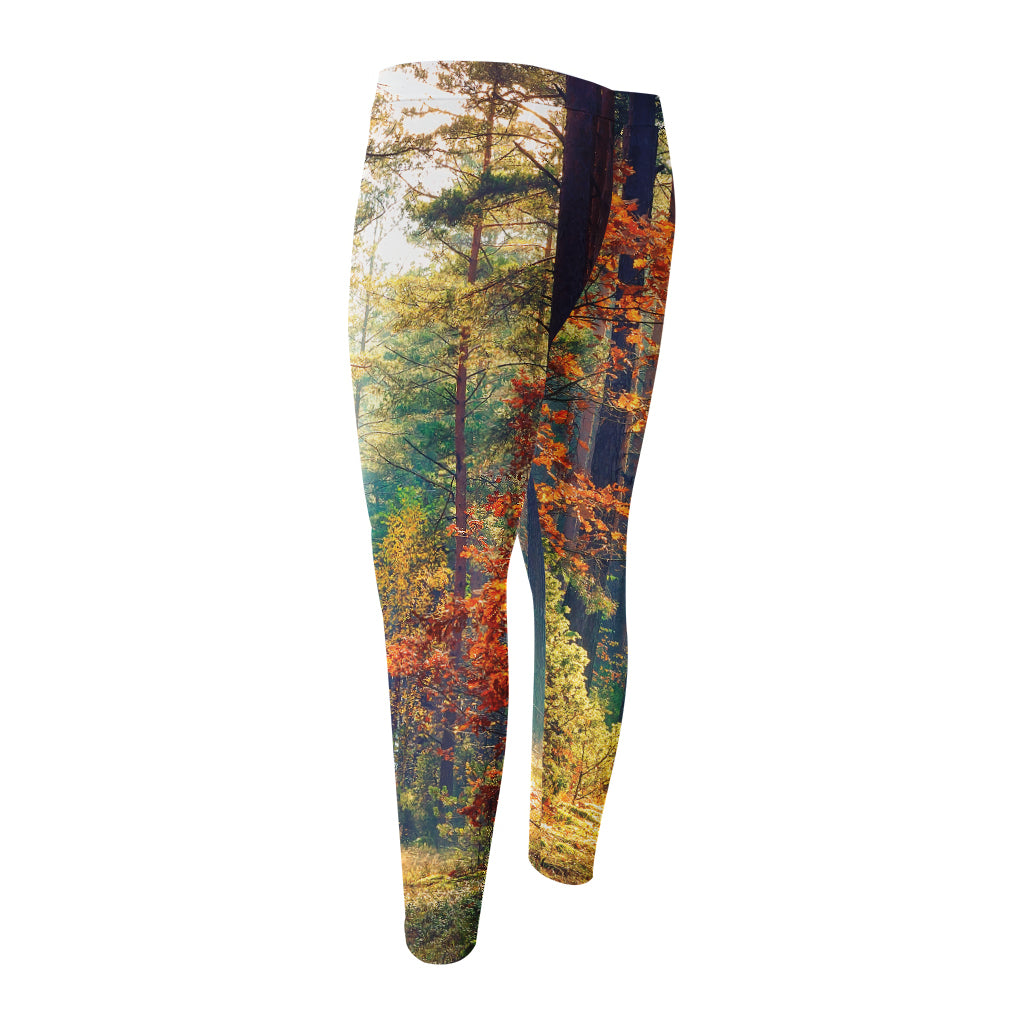 Autumn Forest Print Men's Compression Pants