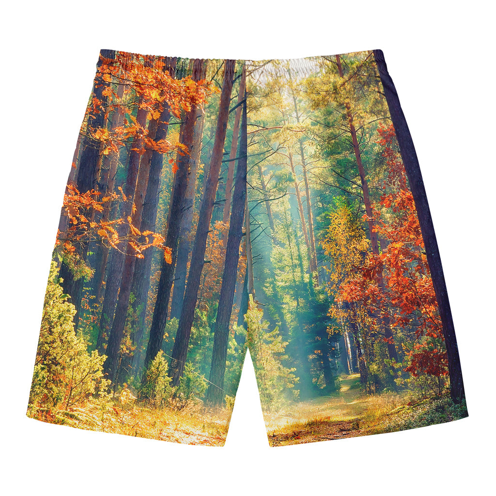 Autumn Forest Print Men's Swim Trunks