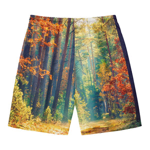 Autumn Forest Print Men's Swim Trunks