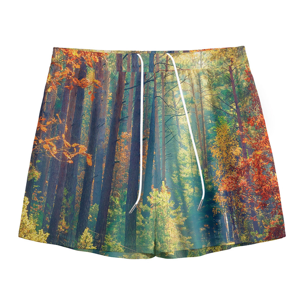 Autumn Forest Print Mesh Shorts