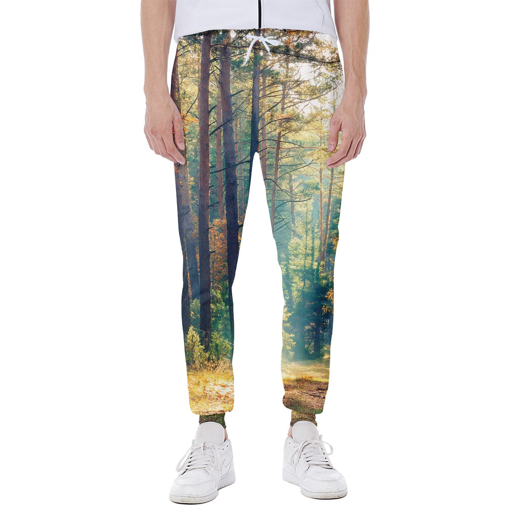 Autumn Forest Print Scuba Joggers