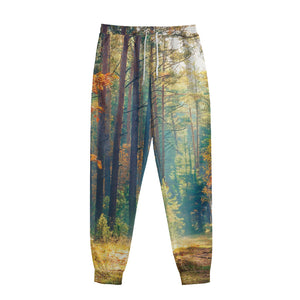 Autumn Forest Print Sweatpants