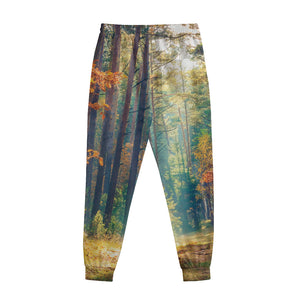 Autumn Forest Print Sweatpants