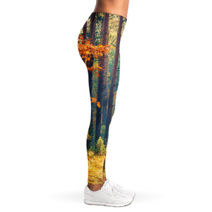 Autumn Forest Print Women's Leggings