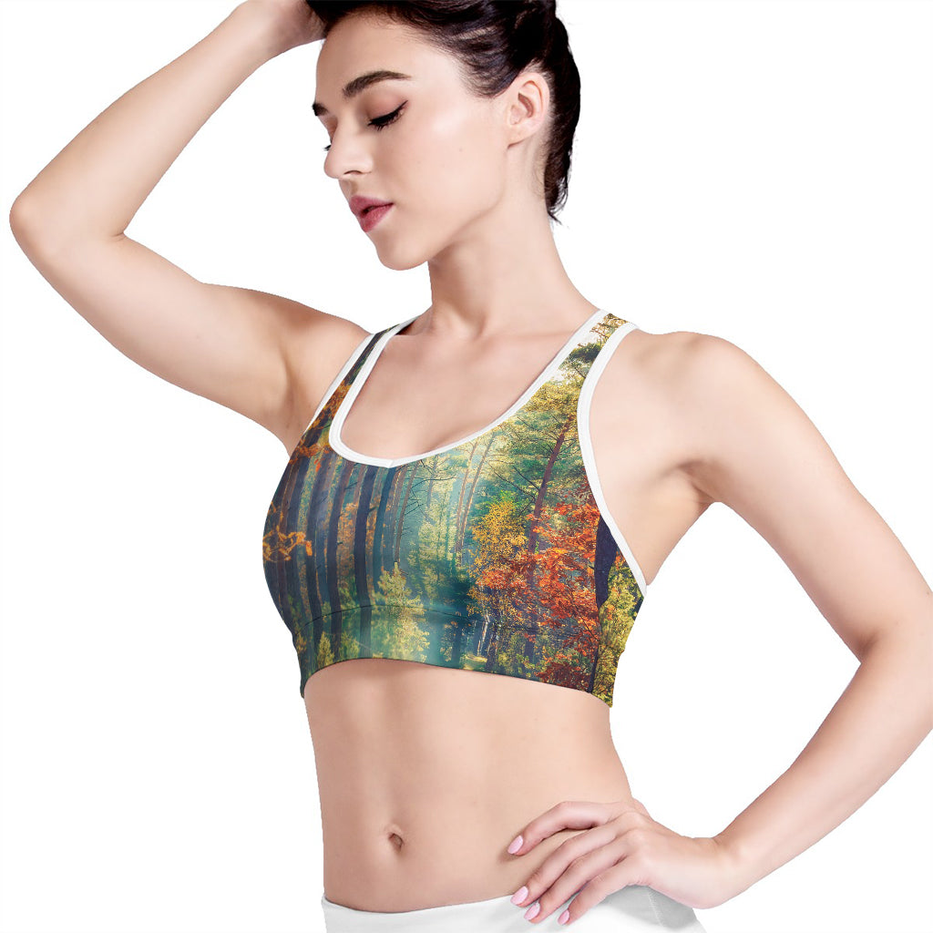 Autumn Forest Print Women's Sports Bra