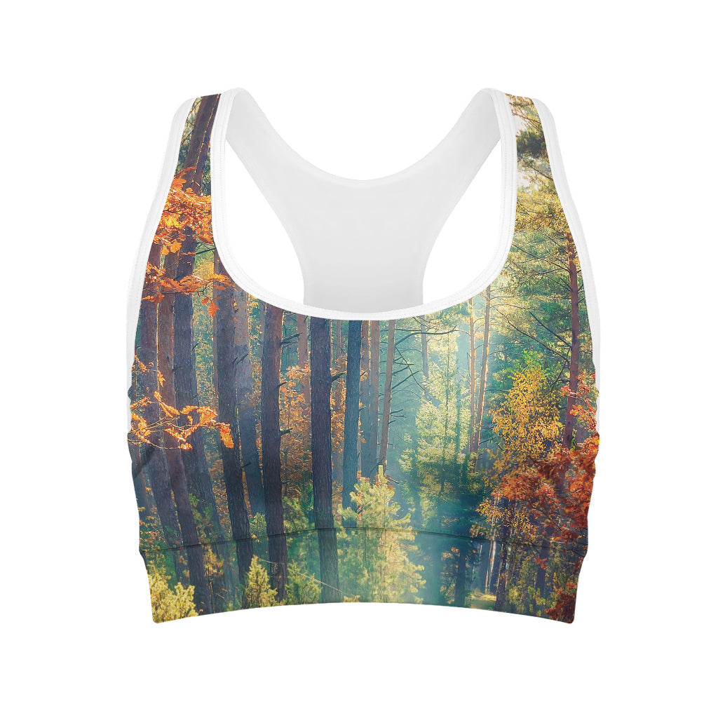 Autumn Forest Print Women's Sports Bra