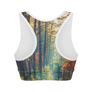 Autumn Forest Print Women's Sports Bra