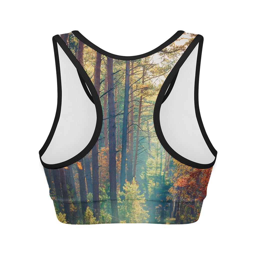 Autumn Forest Print Women's Sports Bra