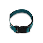 Autumn Full Moon Print Dog Collar