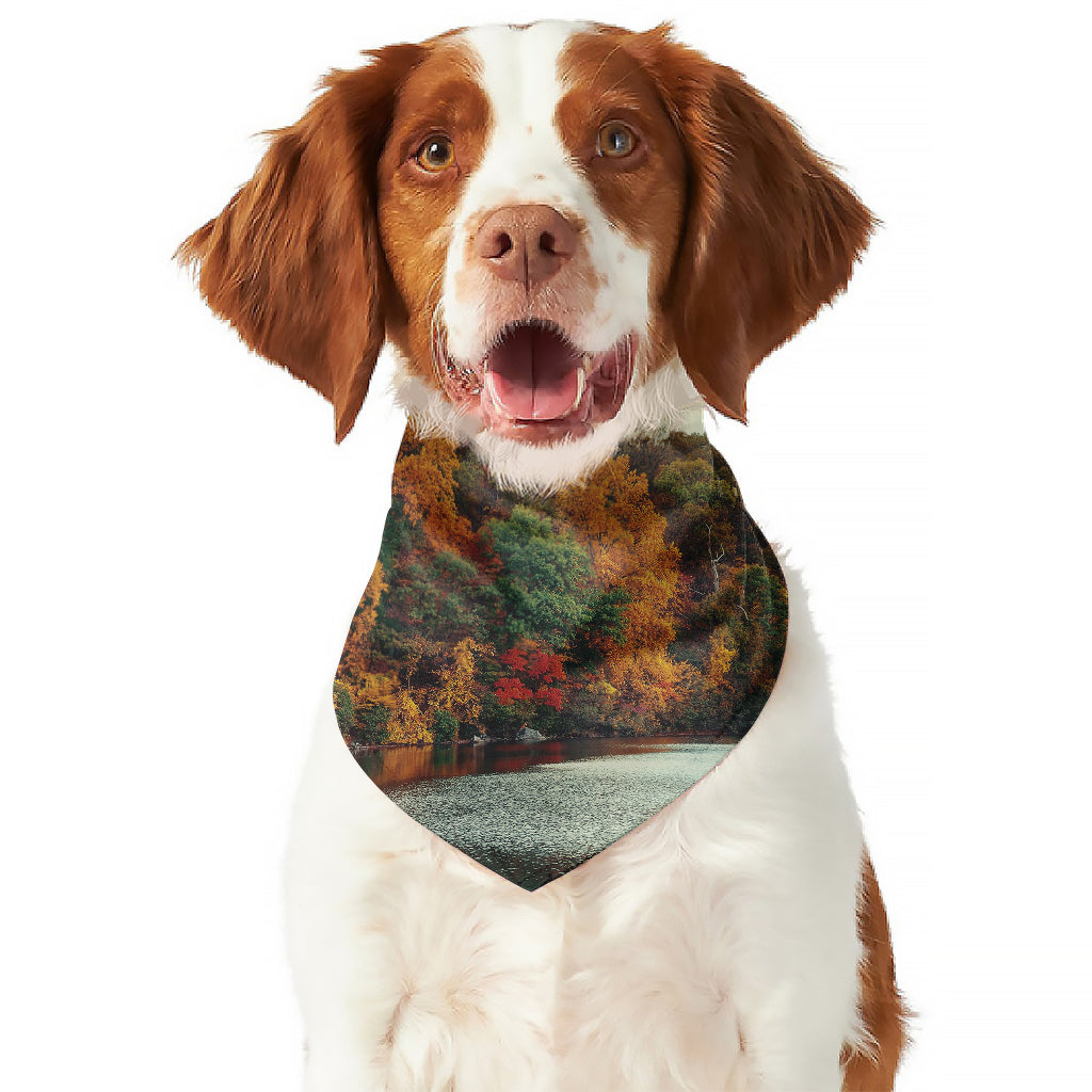 Autumn Lake Print Dog Bandana