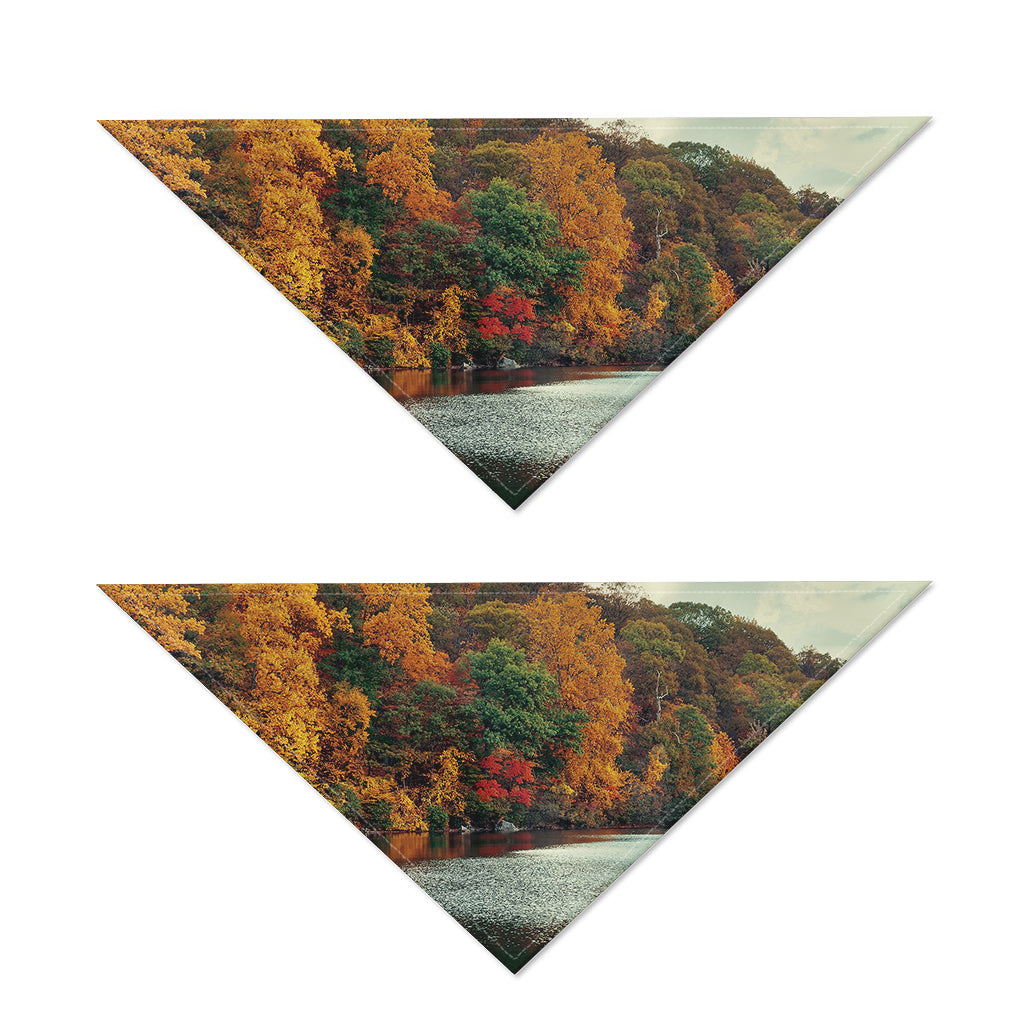 Autumn Lake Print Dog Bandana