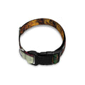 Autumn Lake Print Dog Collar