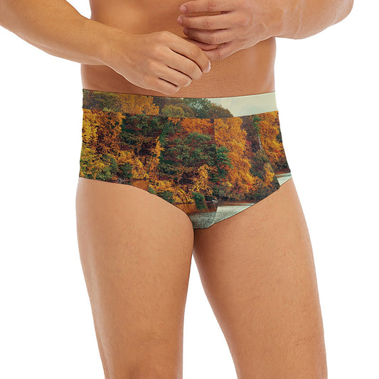 Autumn Lake Print Men's Briefs