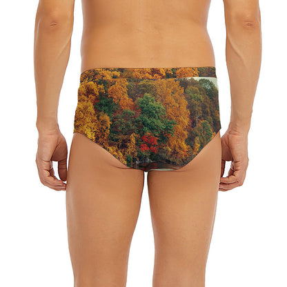 Autumn Lake Print Men's Briefs