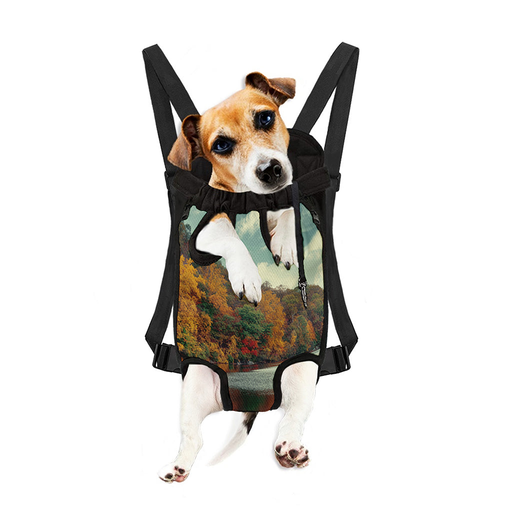 Autumn Lake Print Pet Carrier Backpack