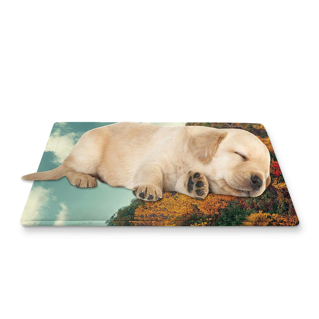 Autumn Lake Print Pet Cooling Mat Cover