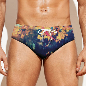 Autumn Leaves Print Men's Swim Briefs