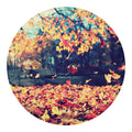Autumn Leaves Print Round Blanket