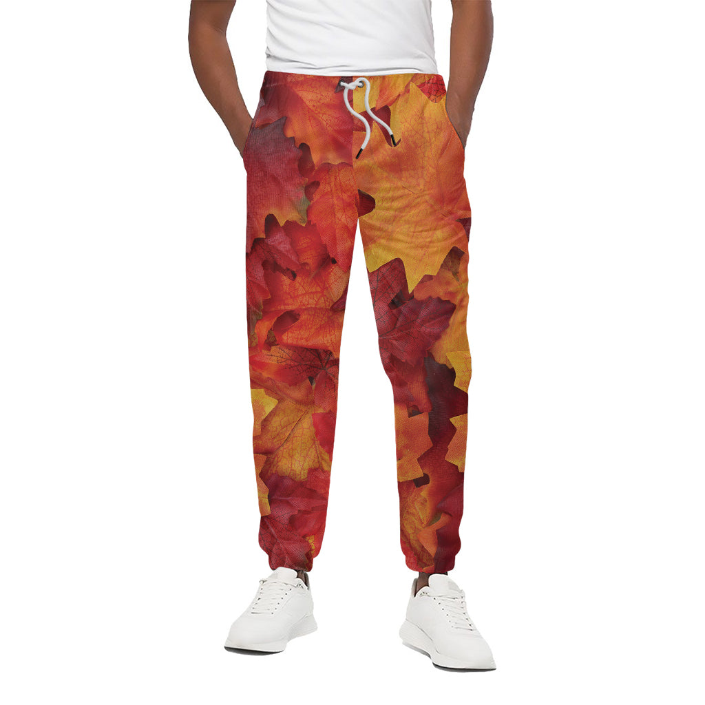 Autumn Maple Leaf Print Cotton Pants