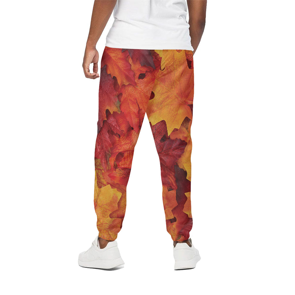 Autumn Maple Leaf Print Cotton Pants