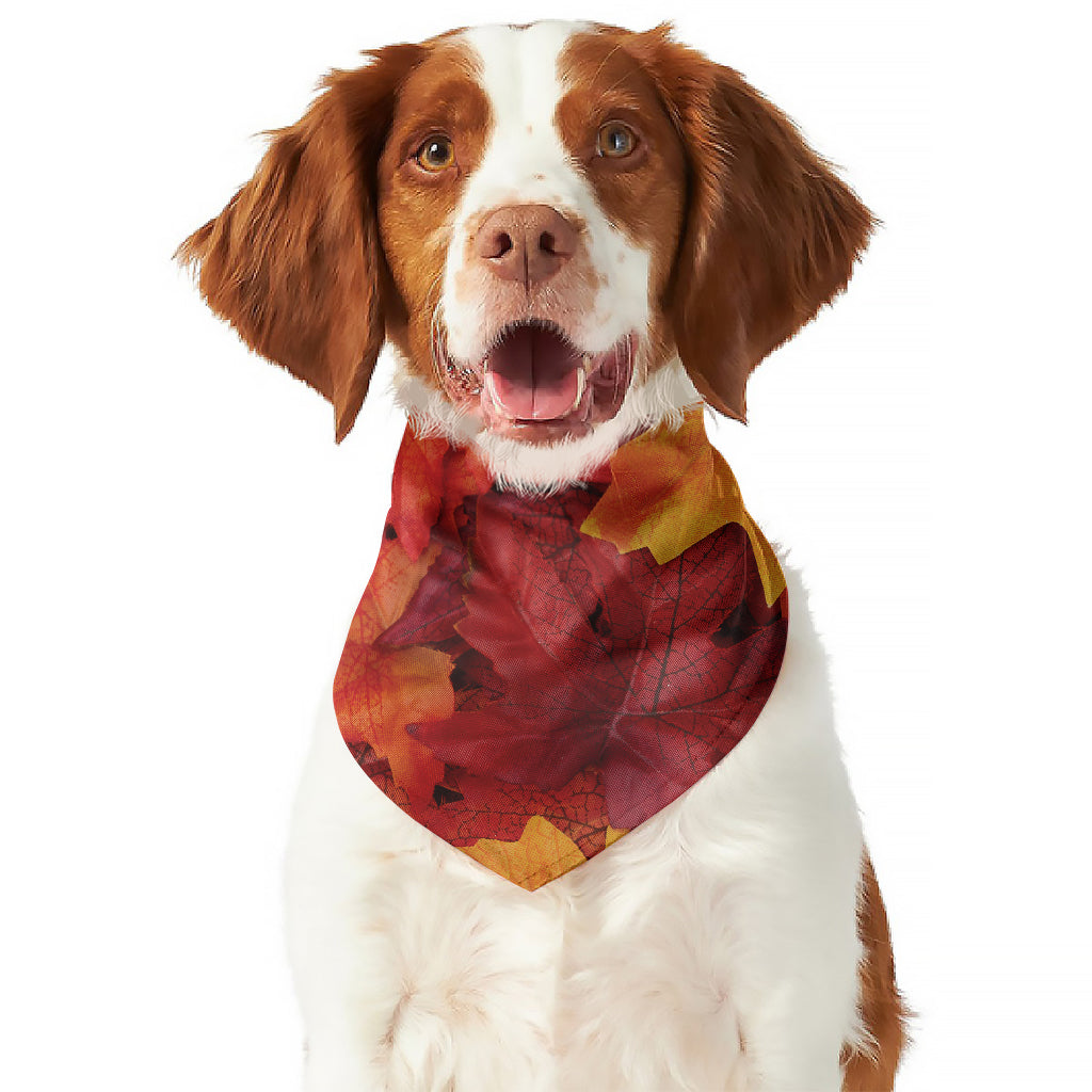 Autumn Maple Leaf Print Dog Bandana