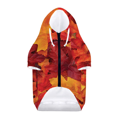 Autumn Maple Leaf Print Dog Zip Up Hoodie