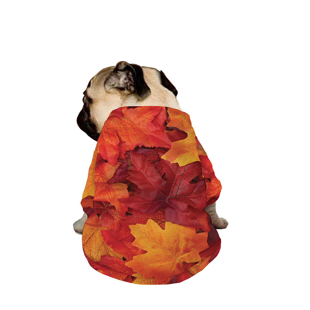 Autumn Maple Leaf Print Dog Zip Up Jacket
