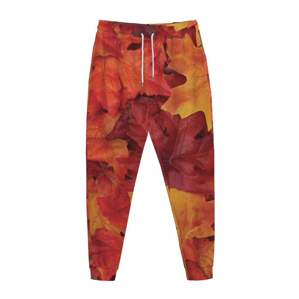 Autumn Maple Leaf Print Jogger Pants