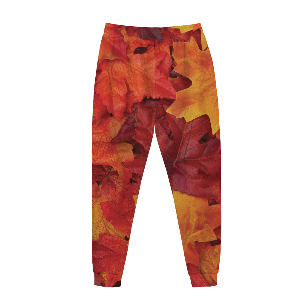 Autumn Maple Leaf Print Jogger Pants