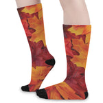 Autumn Maple Leaf Print Long Socks