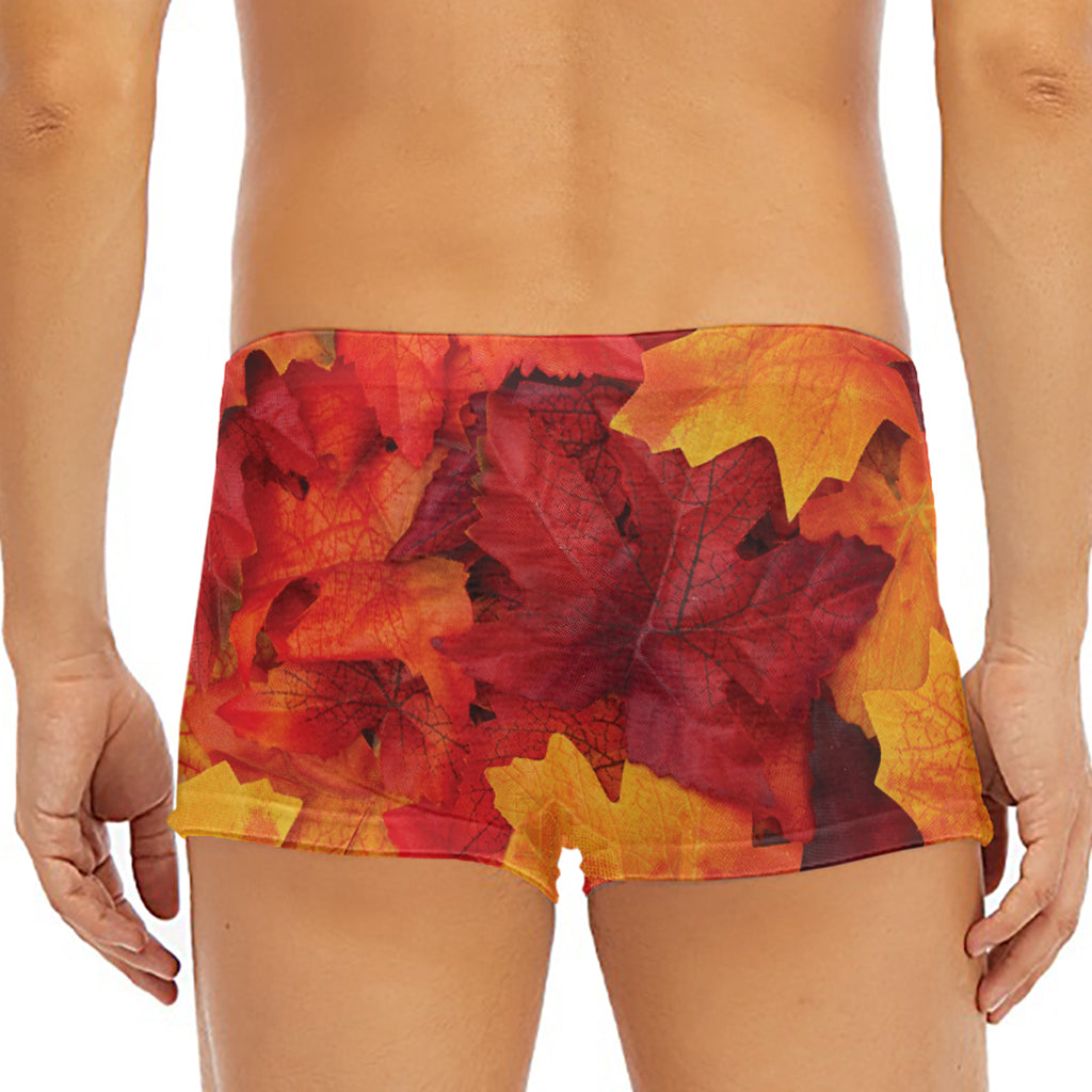 Autumn Maple Leaf Print Men's Short Boxer Briefs