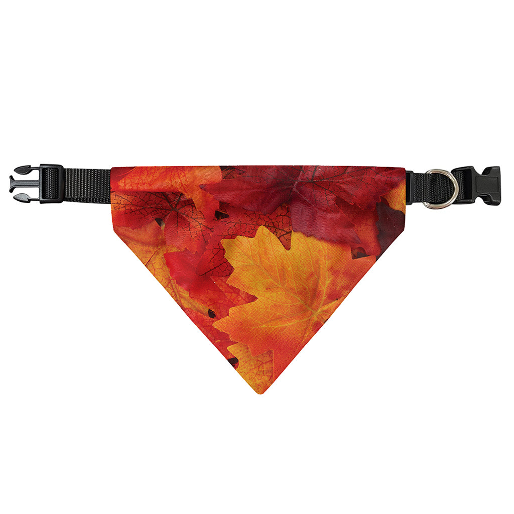 Autumn Maple Leaf Print Over The Collar Dog Bandana