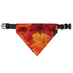 Autumn Maple Leaf Print Over The Collar Dog Bandana