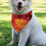 Autumn Maple Leaf Print Over The Collar Dog Bandana