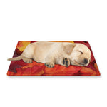Autumn Maple Leaf Print Pet Cooling Mat Cover