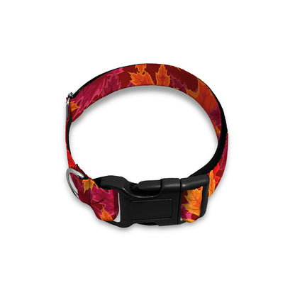 Autumn Maple Leaves Pattern Print Dog Collar