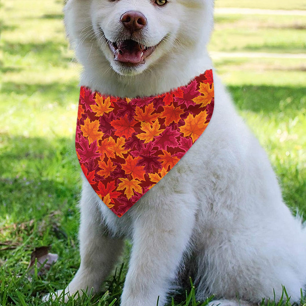 Autumn Maple Leaves Pattern Print Over The Collar Dog Bandana
