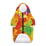 Autumn Maple Leaves Print Dog Zip Up Hoodie