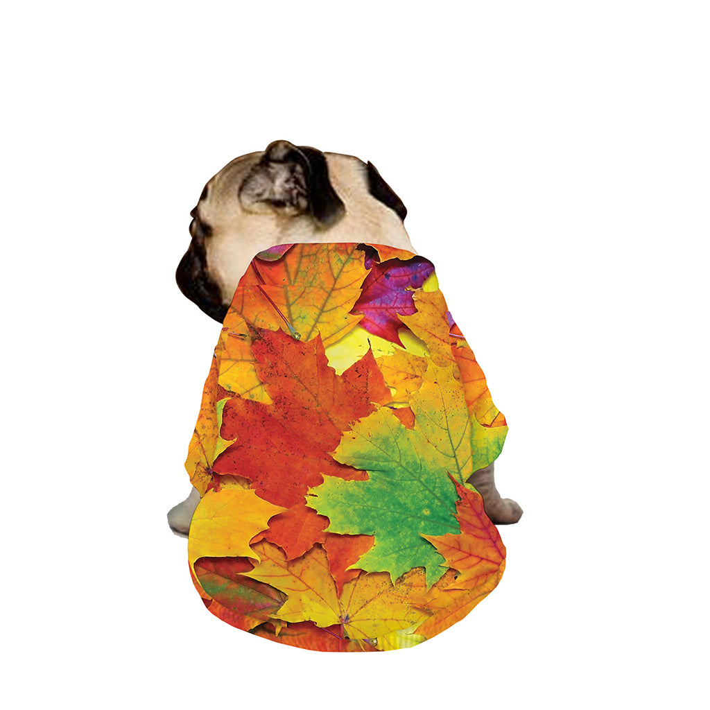 Autumn Maple Leaves Print Dog Zip Up Jacket