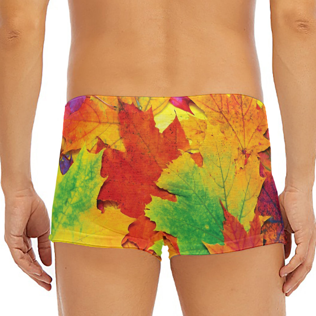 Autumn Maple Leaves Print Men's Short Boxer Briefs