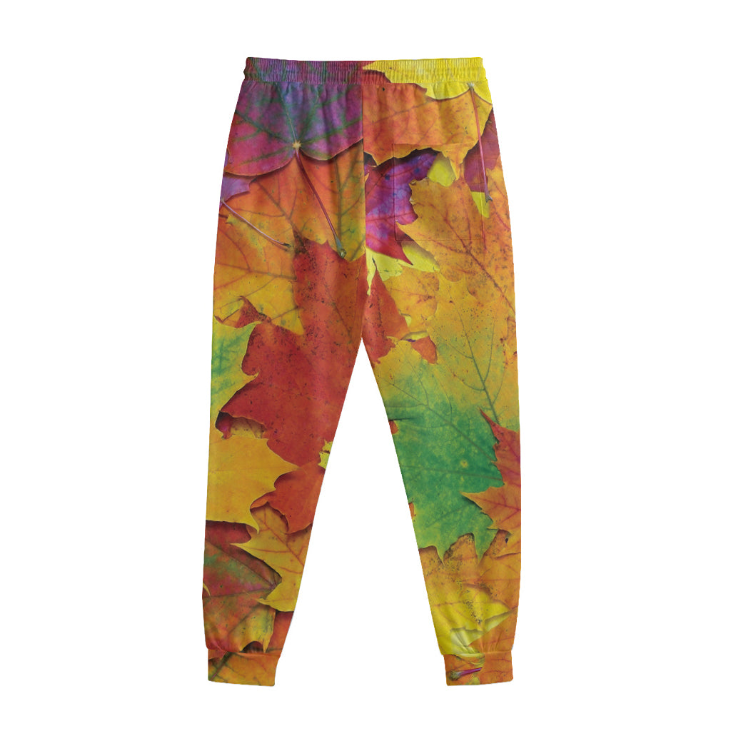 Autumn Maple Leaves Print Sweatpants