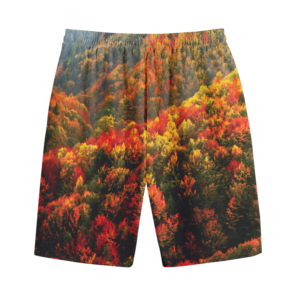 Autumn Mountain Print Cotton Shorts