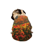 Autumn Mountain Print Dog Zip Up Jacket