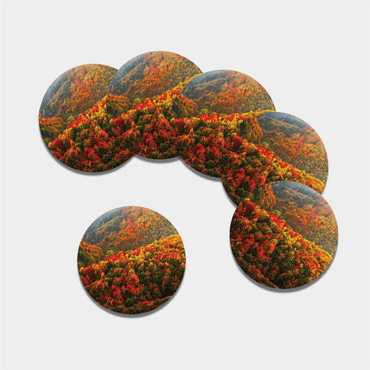 Autumn Mountain Print Leather Coaster Set