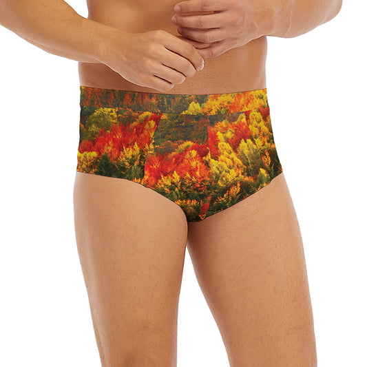 Autumn Mountain Print Men's Briefs
