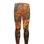 Autumn Mountain Print Men's leggings