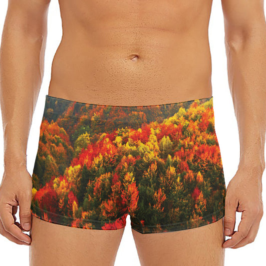 Autumn Mountain Print Men's Short Boxer Briefs