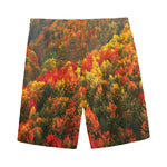 Autumn Mountain Print Men's Sports Shorts