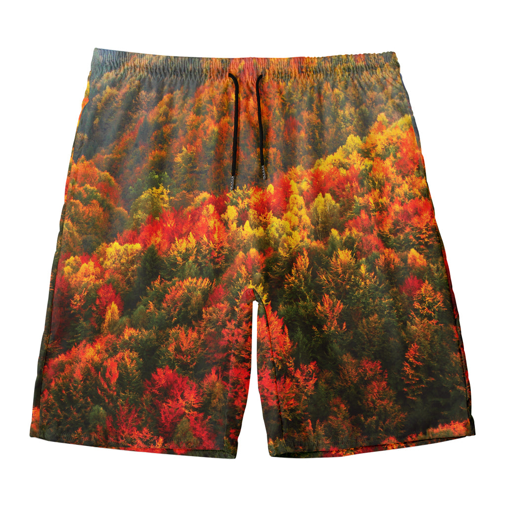 Autumn Mountain Print Men's Swim Trunks