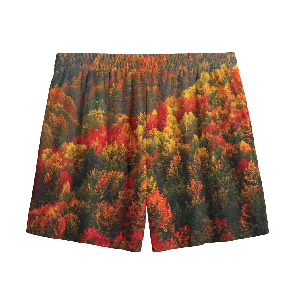 Autumn Mountain Print Mesh Shorts